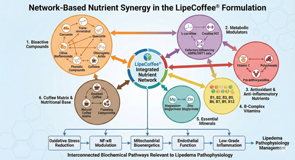 Café funcional para lipedema: diagrama da rede de nutrientes do LipeCoffee mostrando compostos bioativos, moduladores metabólicos, antioxidantes, vitaminas B, minerais e matriz de café